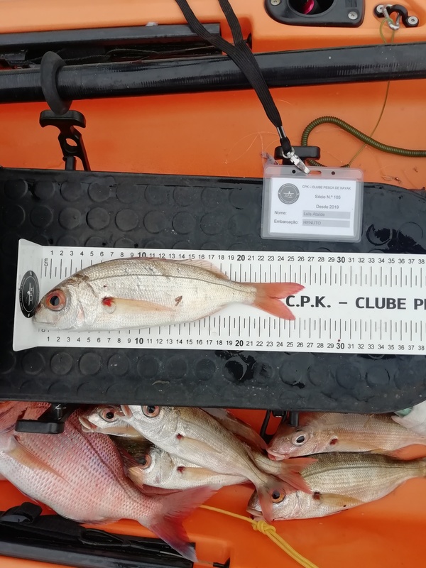 Fish Measure Picture